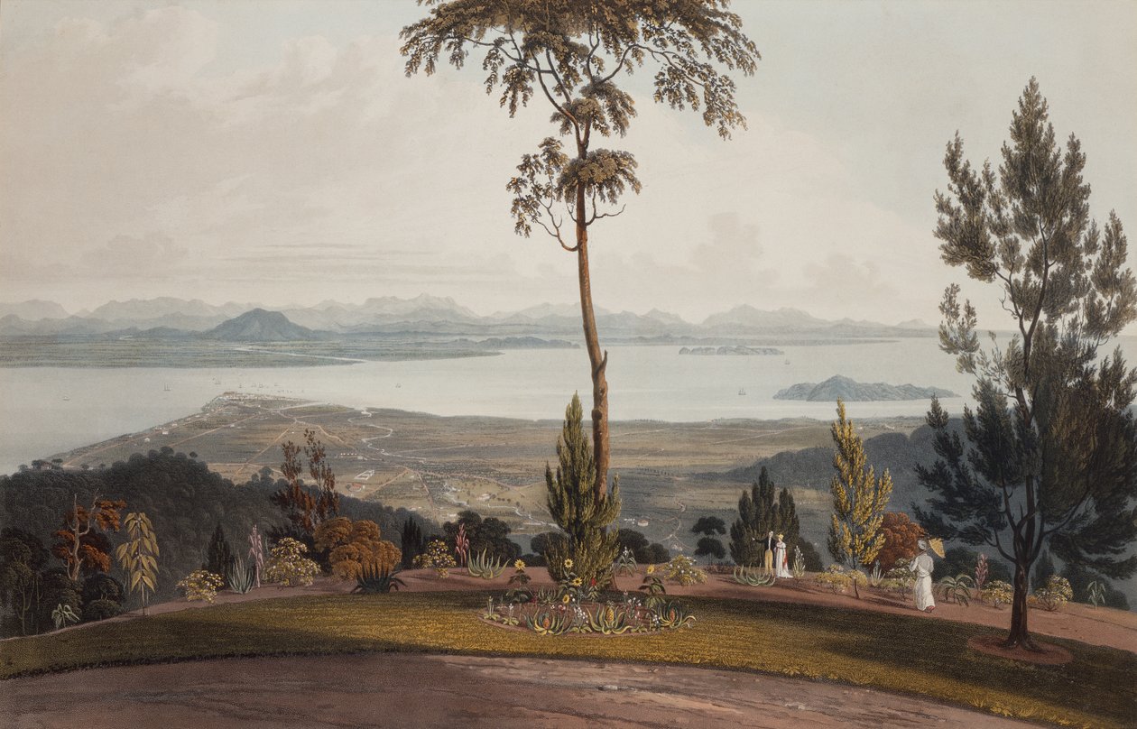 Widok z Strawberry Hill, Wyspa Księcia Walii autorstwa William Daniell