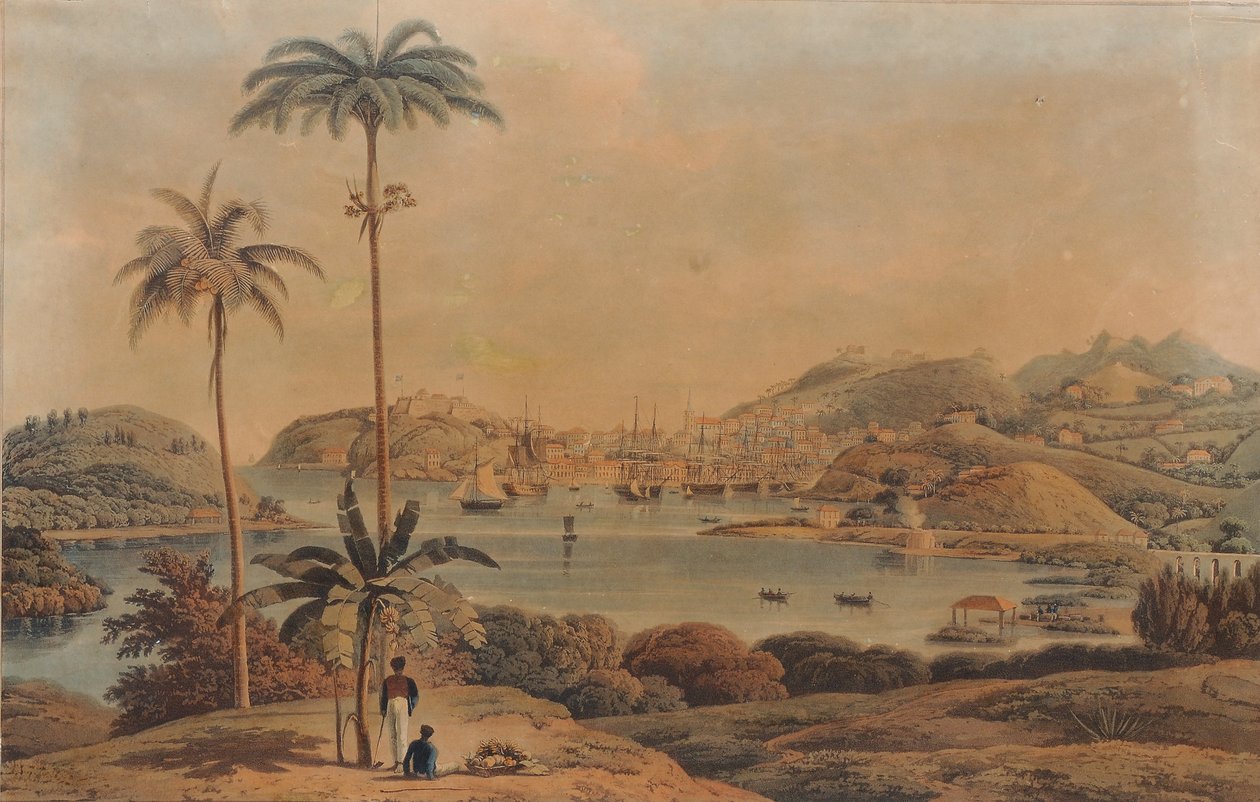 Widok miasta St. George i Richmond Heights na wyspie Grenada, zaczerpnięty z zatoki przez podpułkownika Wilsona, 1819 autorstwa William Daniell