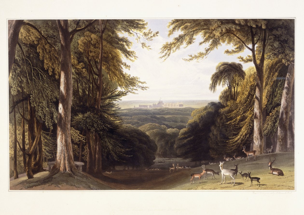 Zamek Windsor z Parku Jeleni, ok. 1827-1829 autorstwa William Daniell