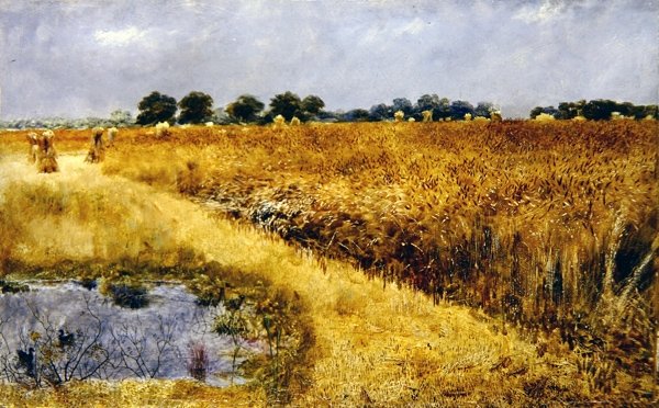 Pole kukurydzy (olej na pokładzie) autorstwa William Davis
