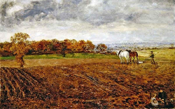 Orka w Cheshire (olej na płótnie) autorstwa William Davis