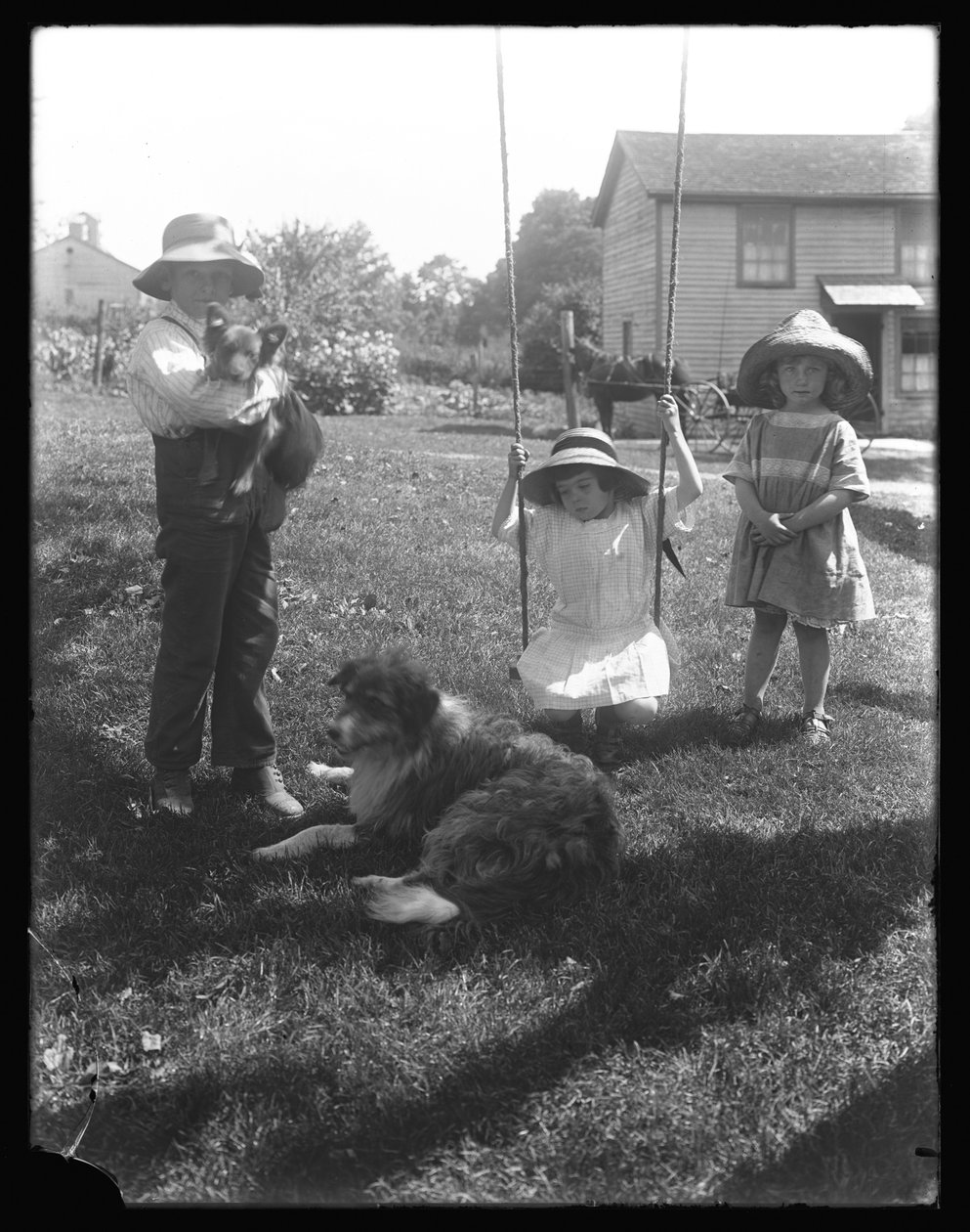 Dzieci z psem i szczeniakiem zgromadzone wokół huśtawki linowej na farmie McCready, Pensylwania, ok. 1913 r. autorstwa William Davis Hassler