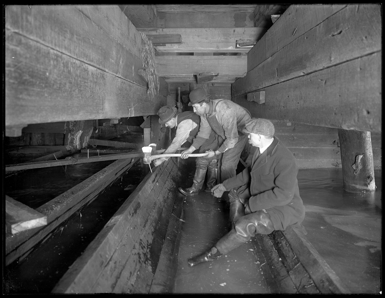 Mężczyźni pracujący w kanale W. 129th Street, Nowy Jork, ok. 1911 autorstwa William Davis Hassler