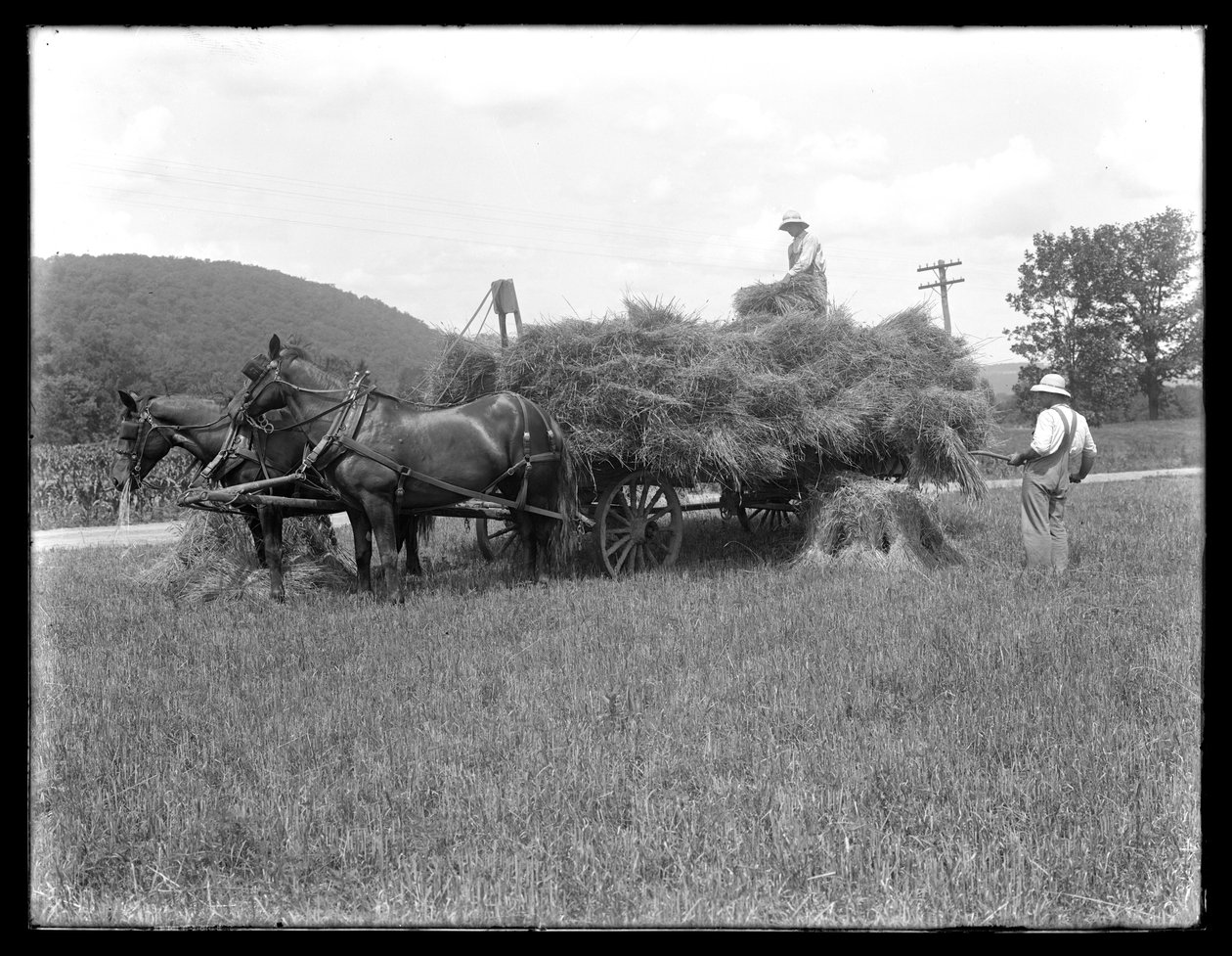 Dwóch mężczyzn ładujących snopy pszenicy na wóz konny, prawdopodobnie farma McCready, hrabstwo Crawford, Pensylwania, ok. 1913 autorstwa William Davis Hassler