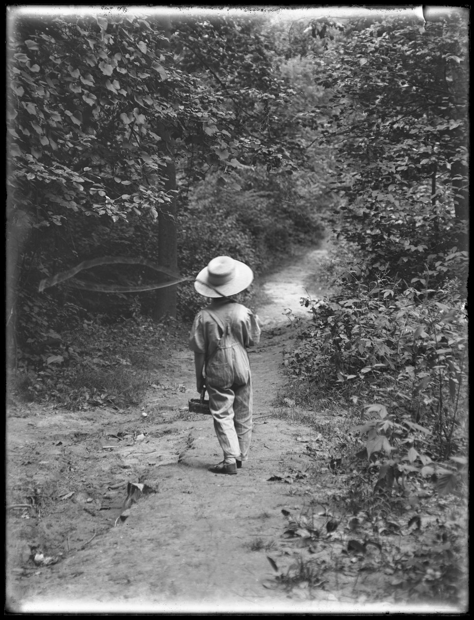 William Gray Hassler w słomkowym kapeluszu i kombinezonie, niosący wędkę i kosz, samotnie idąc ścieżką w lesie, 20 sierpnia 1911 autorstwa William Davis Hassler