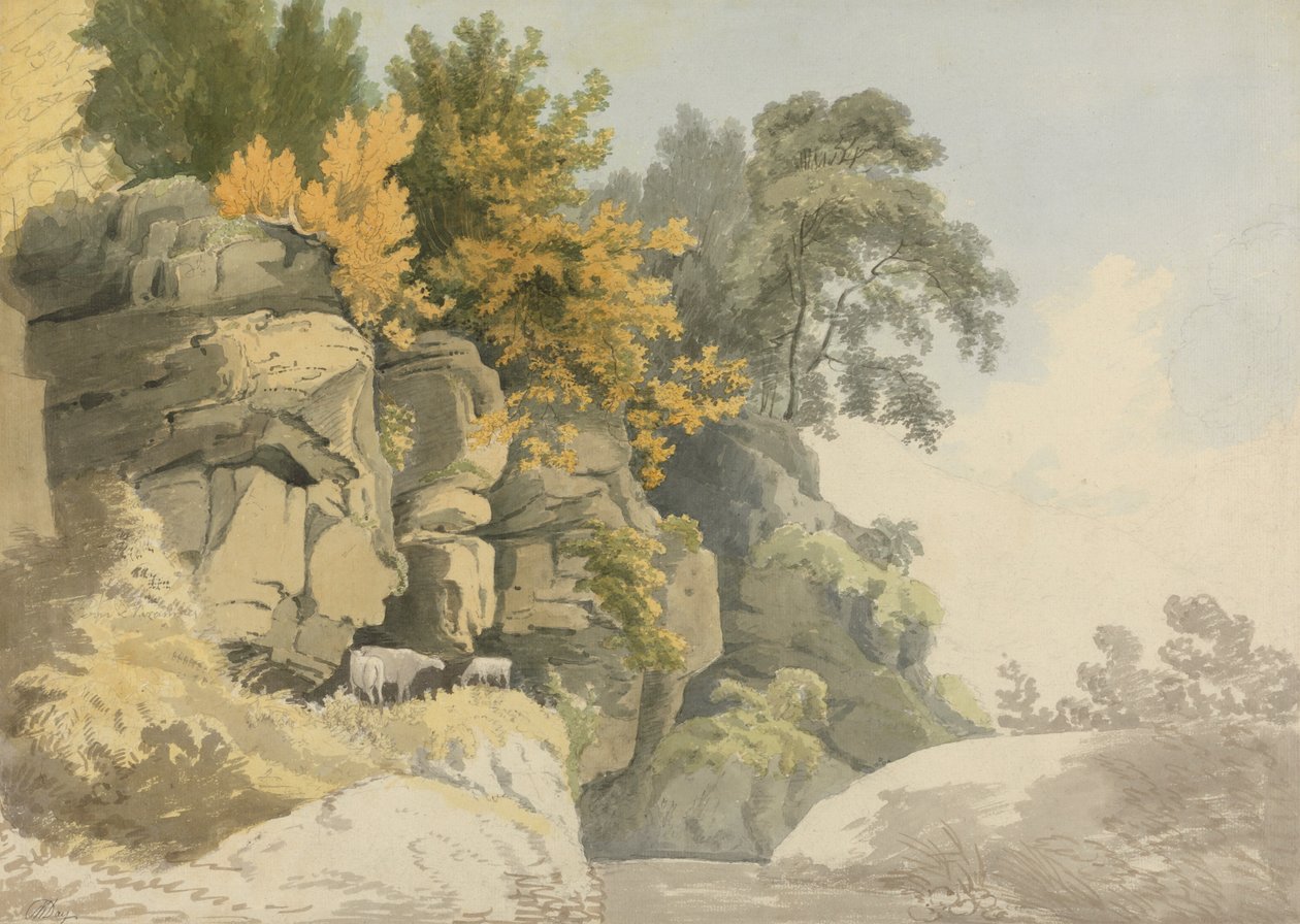 Zalesione skały nad strumieniem (Derbyshire?) autorstwa William Day
