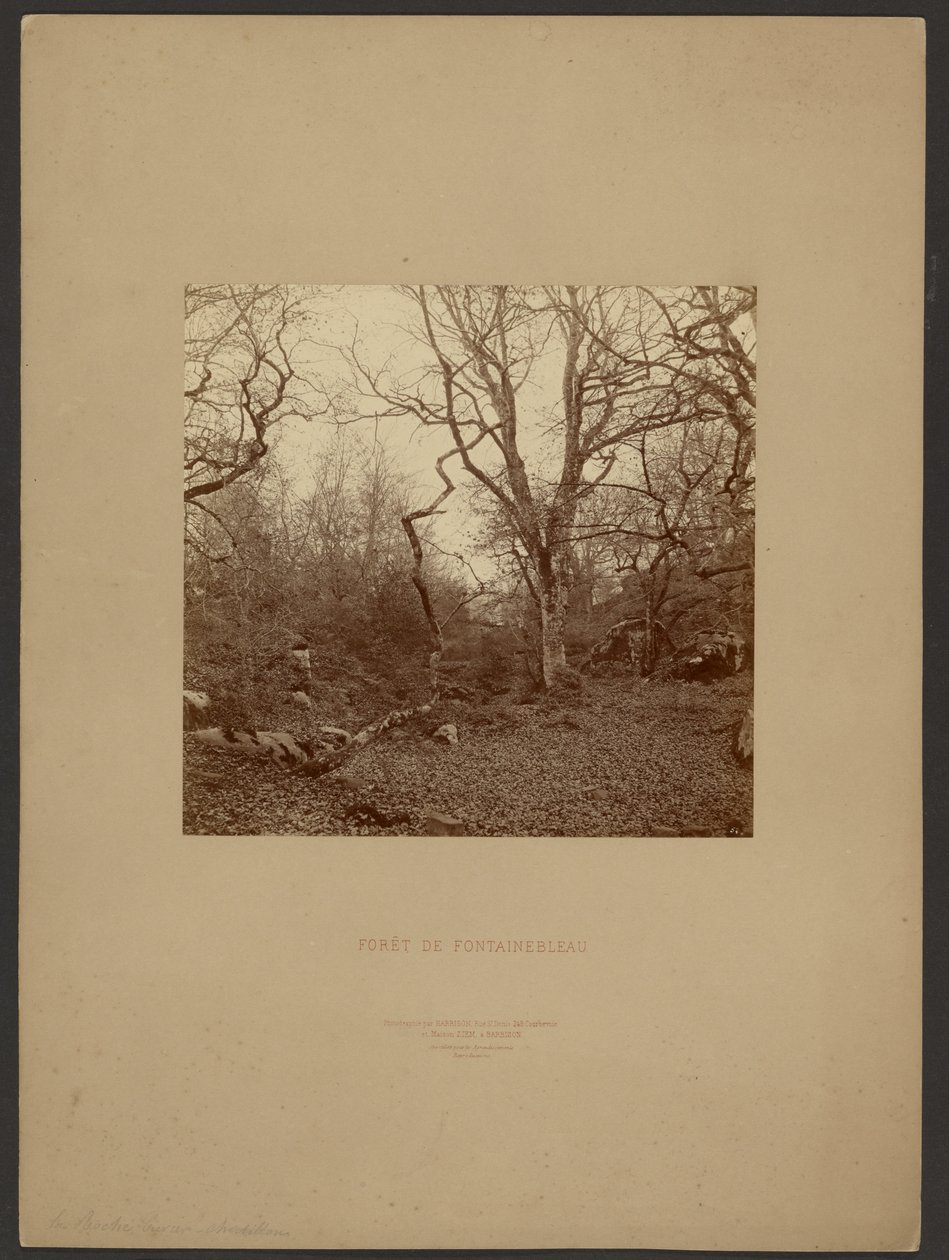 Las Fontainebleau autorstwa William Drooke Harrison