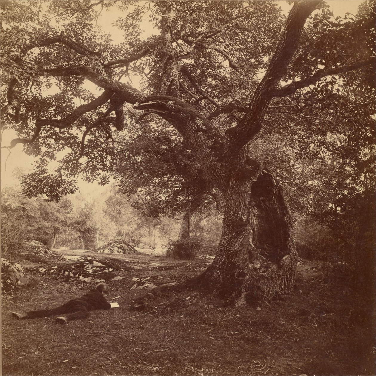 Las Fontainebleau autorstwa William Drooke Harrison