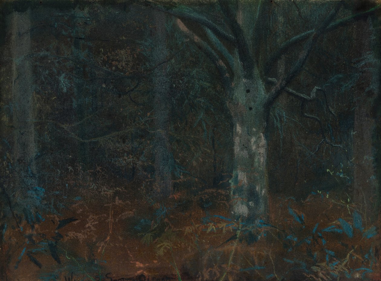 Stary Jawor autorstwa William Edward Stott