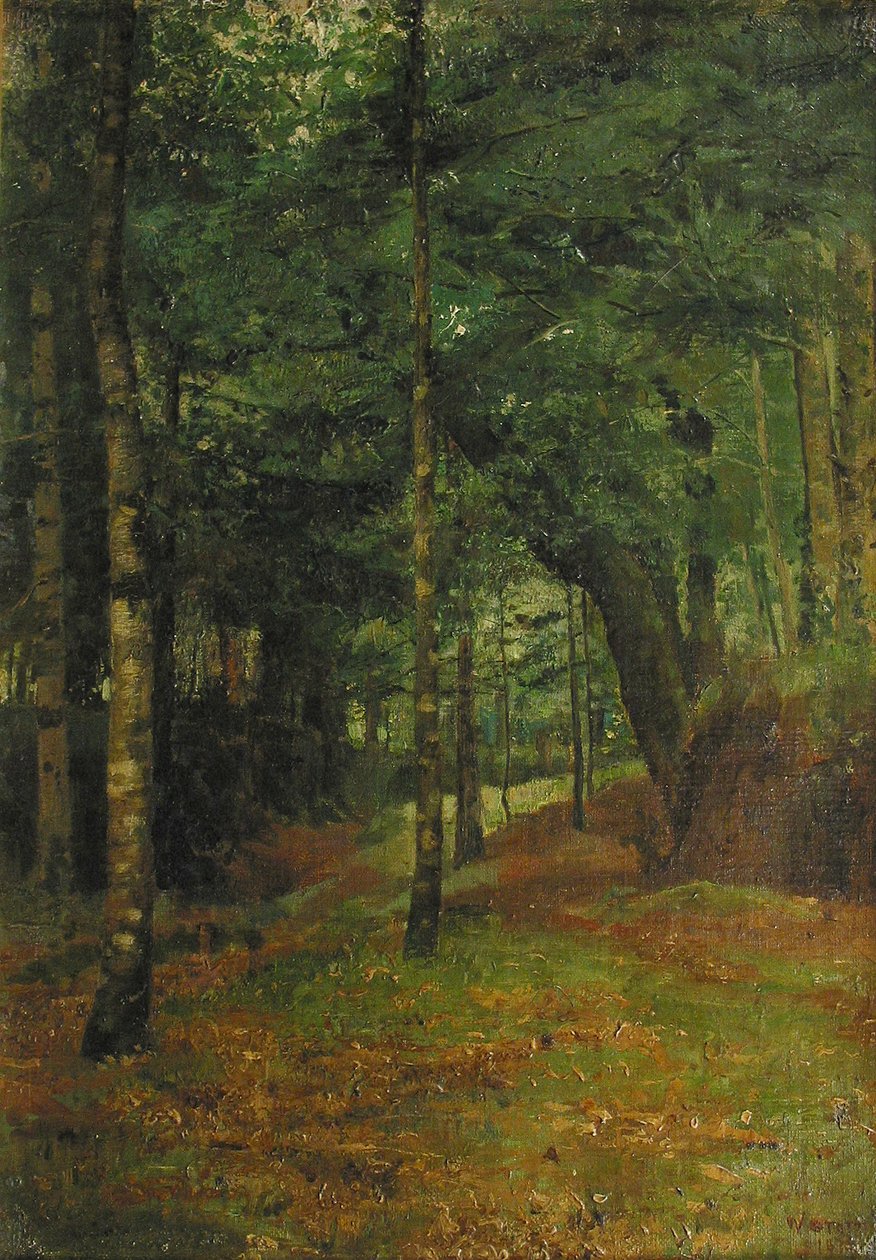 Studium słońca przeświecającego przez drzewa, Concarneau autorstwa William Edward Stott