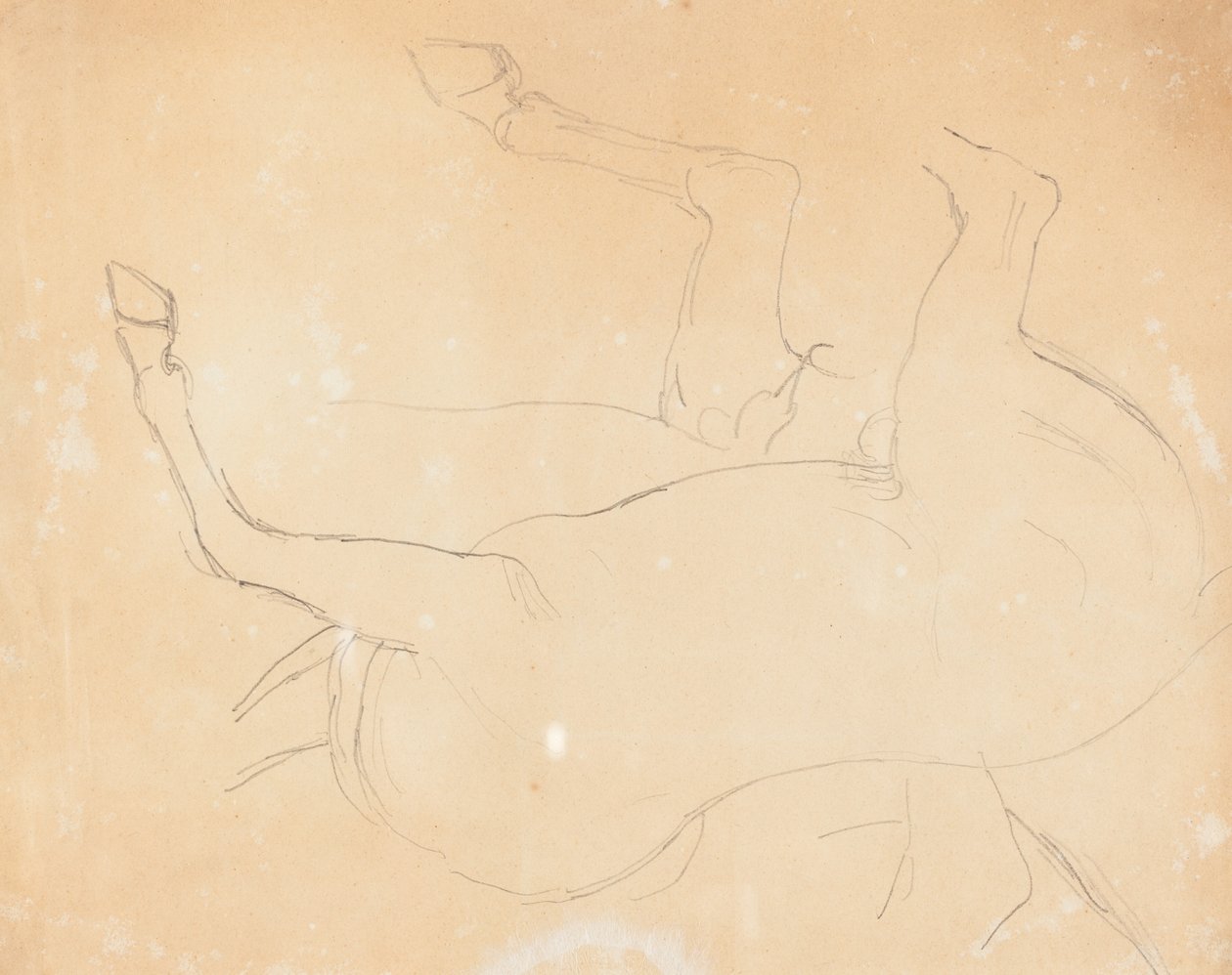 Studium konia [verso] autorstwa William Etty