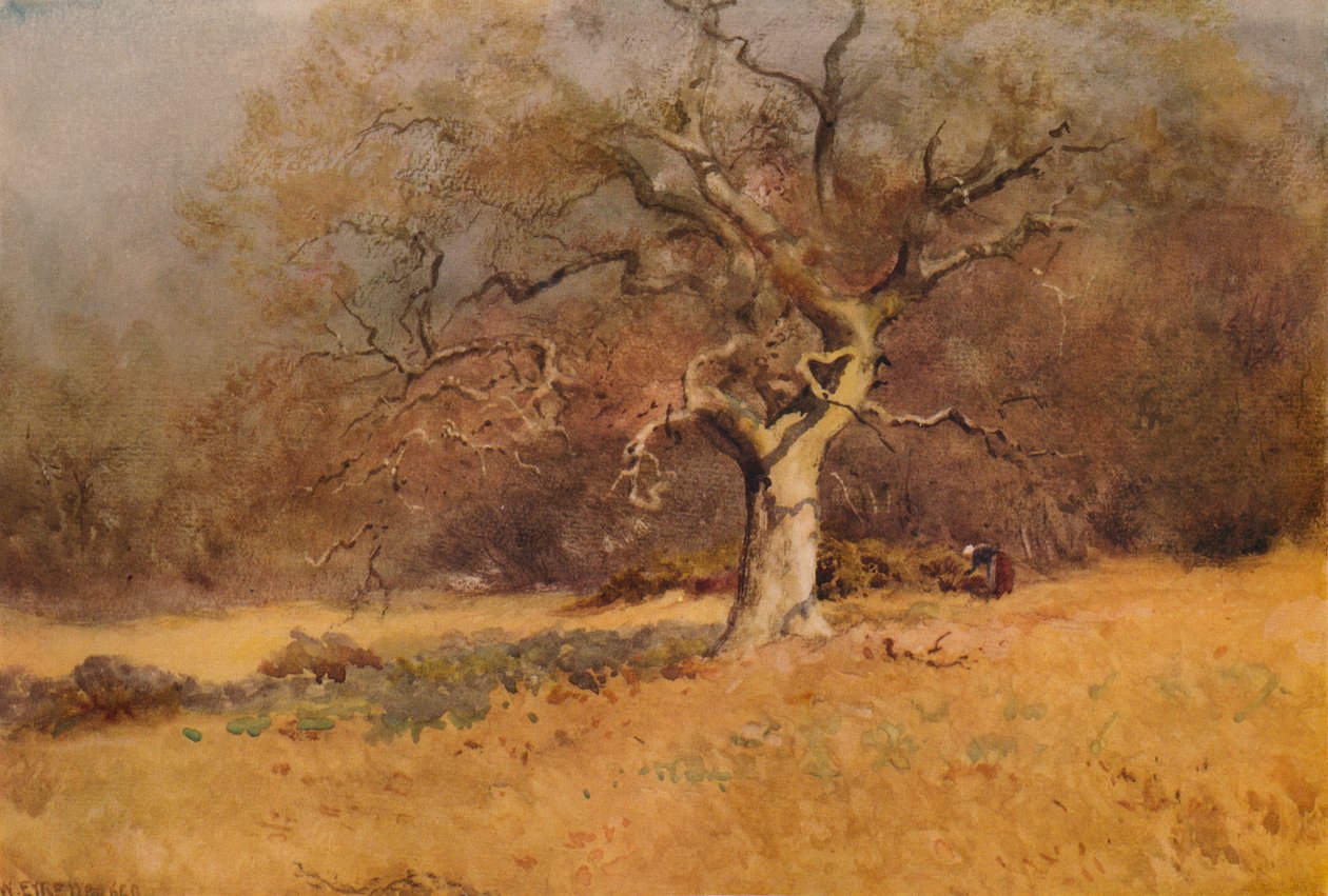 Las zimowy, c1916, 1938 autorstwa William Eyre Walker