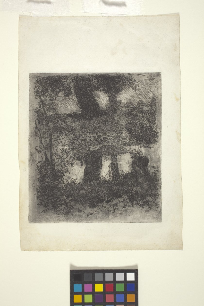 Krajobraz z fauna i basenem (odbity krajobraz) (akwaforta) autorstwa William Forsyth