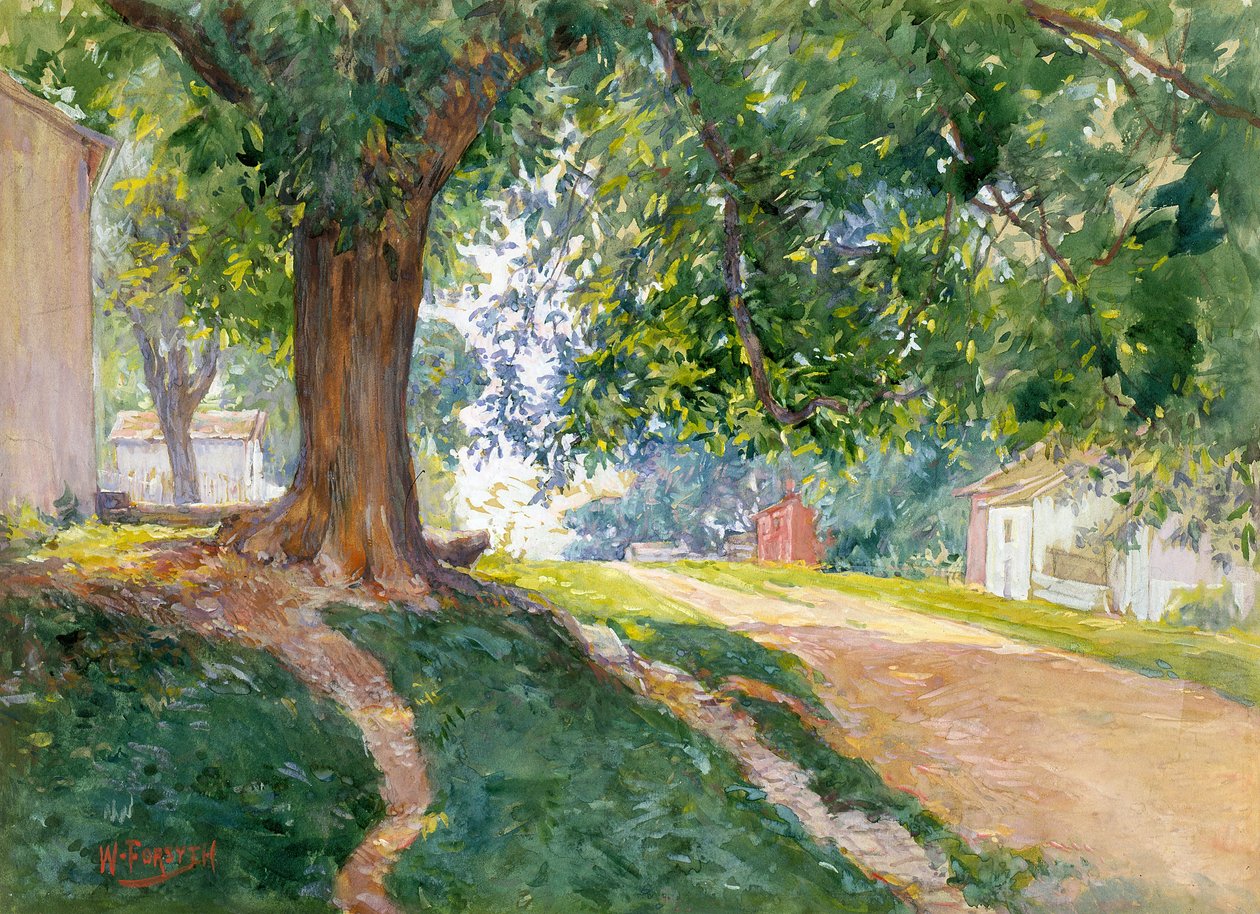 Wiąz konstytucyjny (akwarela i gwasz na białawym papierze) autorstwa William Forsyth