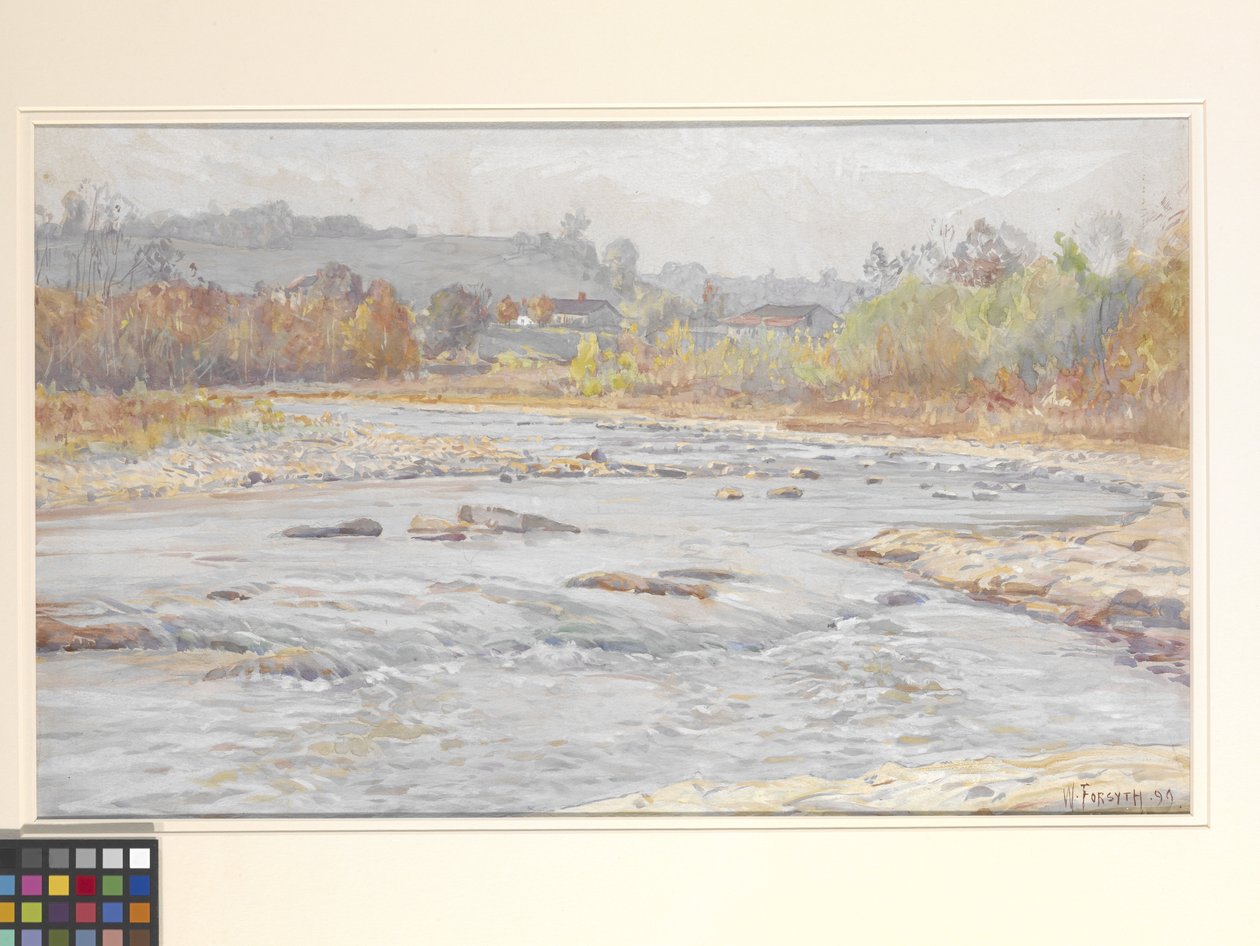 Whitewater Rapids (akwarela na białawym papierze) autorstwa William Forsyth