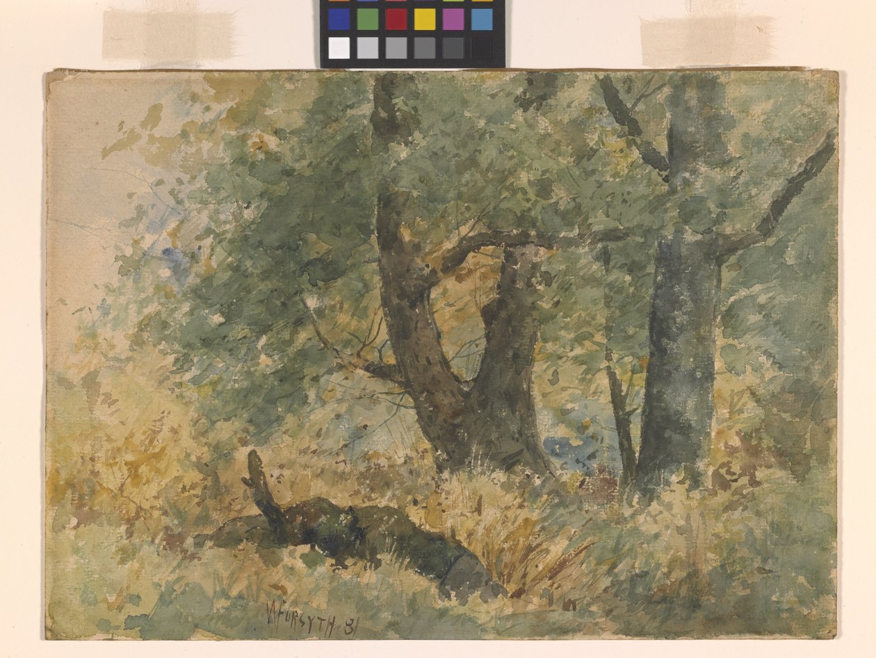 Krajobraz leśny (akwarela) autorstwa William Forsyth