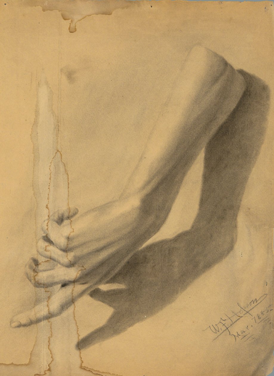 Studia akademickie autorstwa William Fowler Hopson
