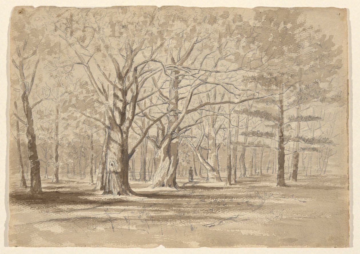 Kolegium Woods autorstwa William Fowler Hopson