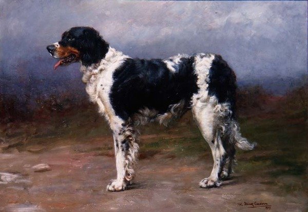 Gundog w krajobrazie autorstwa William Frank Calderon
