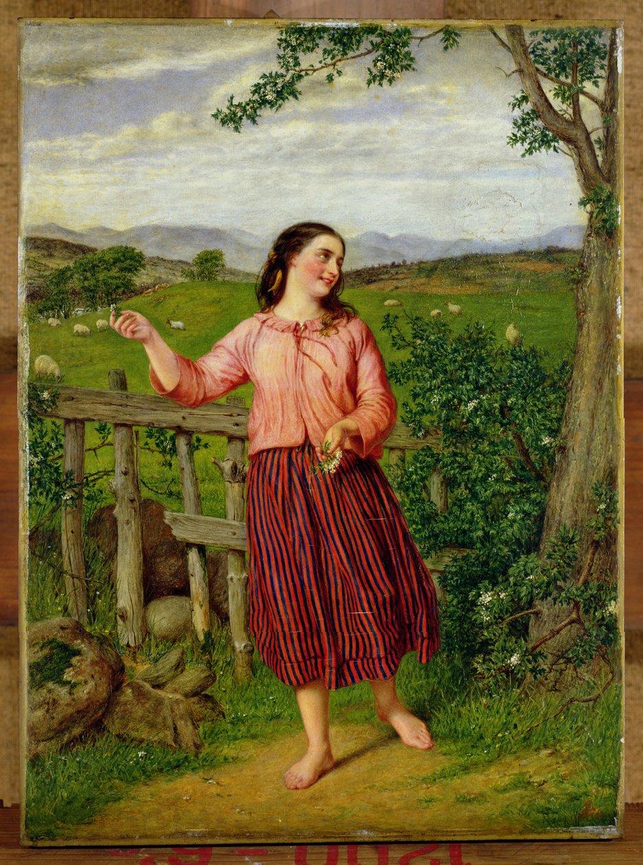 Wyżynna Mary autorstwa William Gale or Gaele