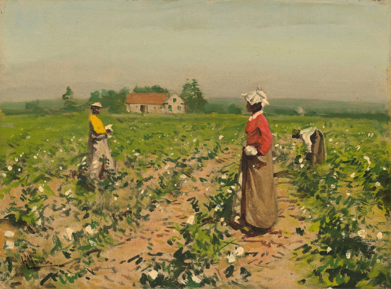 Zbieranie bawełny autorstwa William Gilbert Gaul