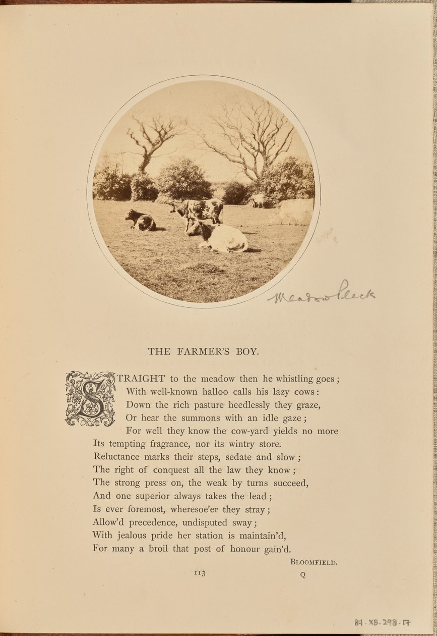 [Scena pasterska z bydłem odpoczywającym na polu, Anglia]. autorstwa William Grundy
