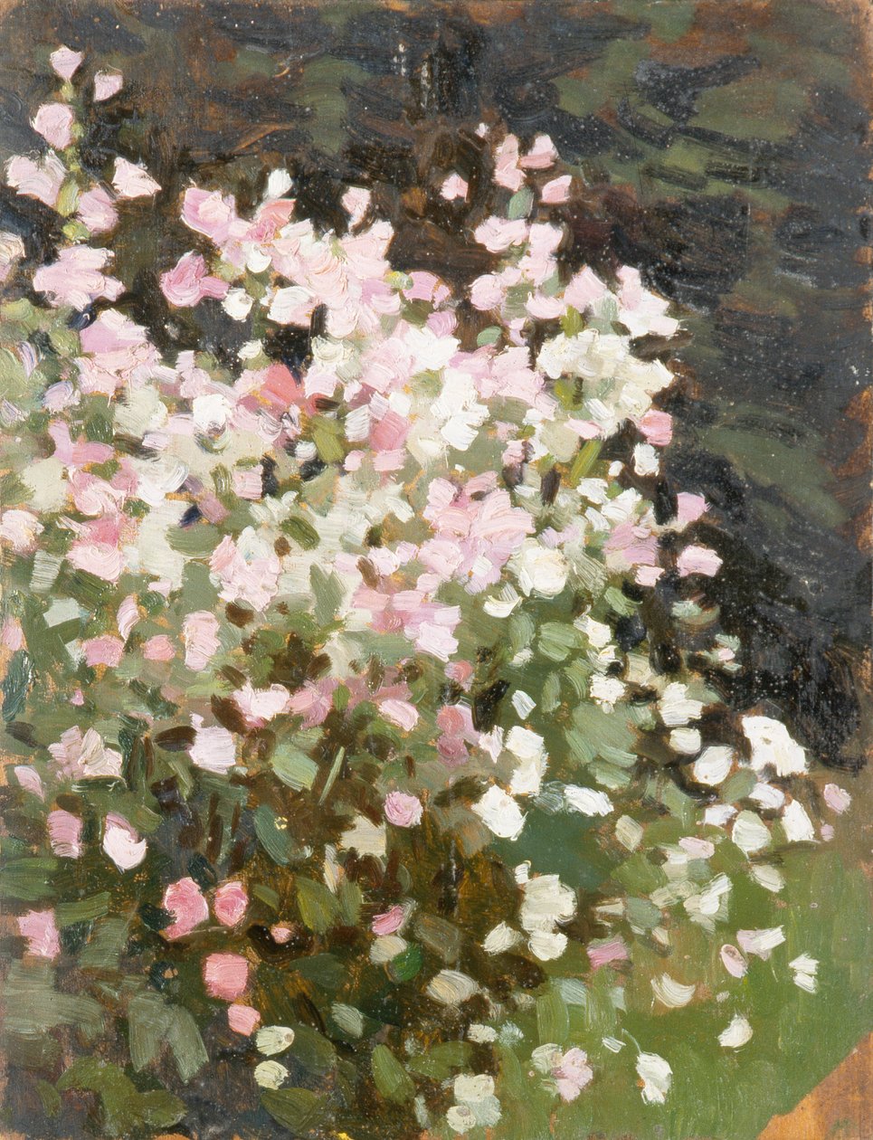 Różowe kwiaty, ok. 1930 (olej na płótnie) autorstwa William Gunning King