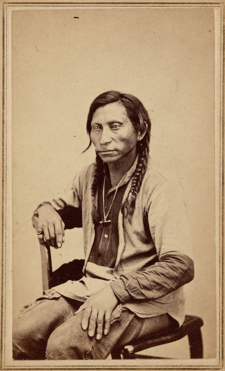 Szary wilk, lata sześćdziesiąte XIX wieku (zdjęcie) autorstwa William Gunnison Chamberlain