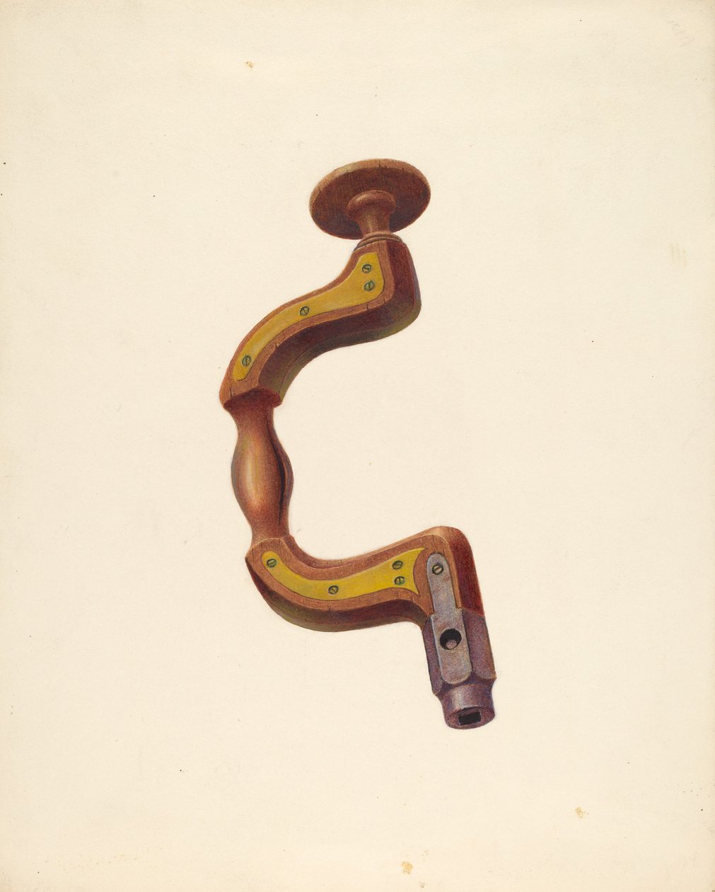 Orteza ciesielska, ok. 1900 r. 1939. autorstwa William H Edwards