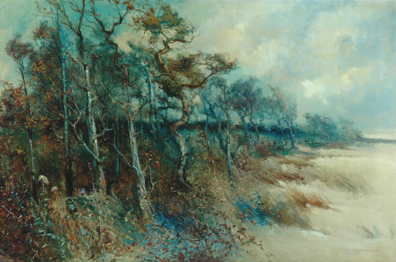 Drzewa w piaszczystym krajobrazie, Heysham, 1915 autorstwa William H. Parkinson