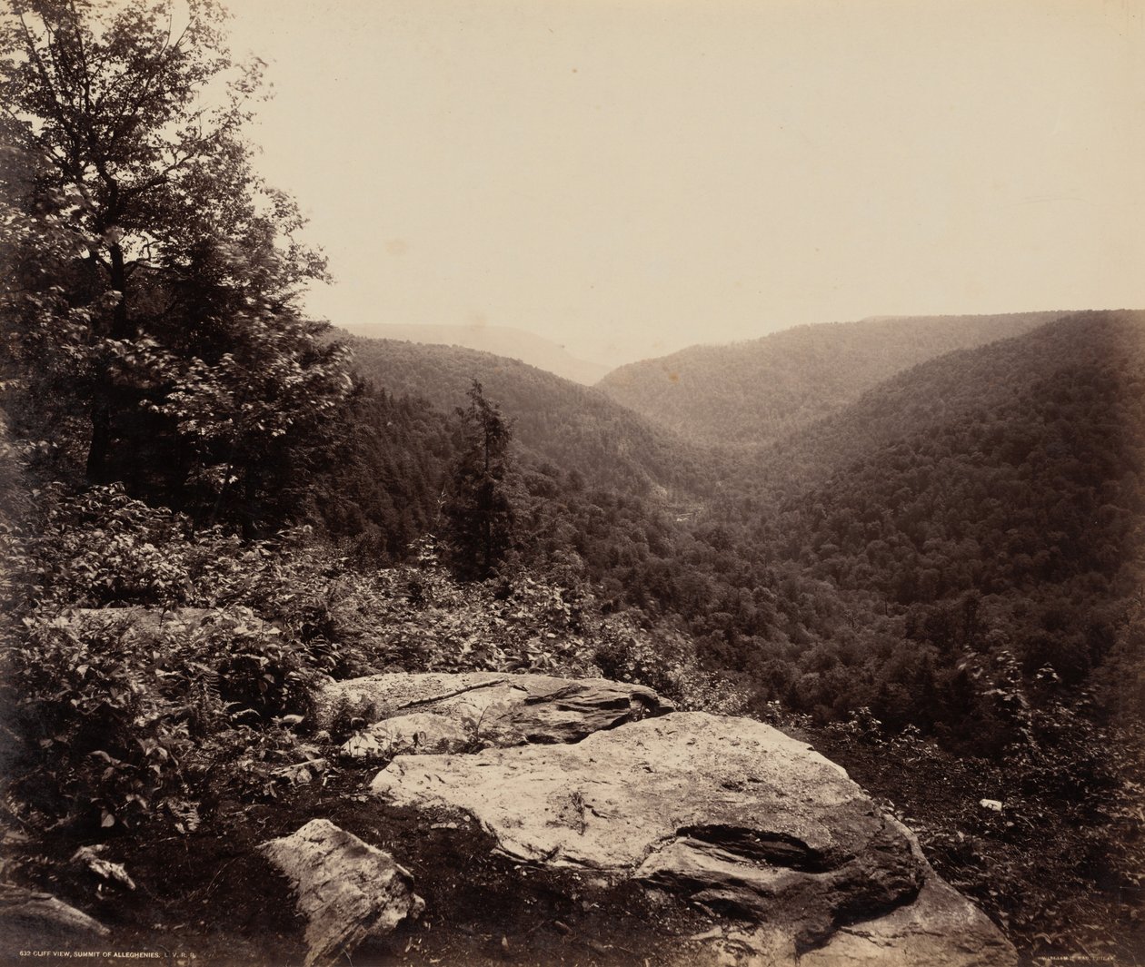 Cliff View, szczyt Alleghenies autorstwa William H. Rau
