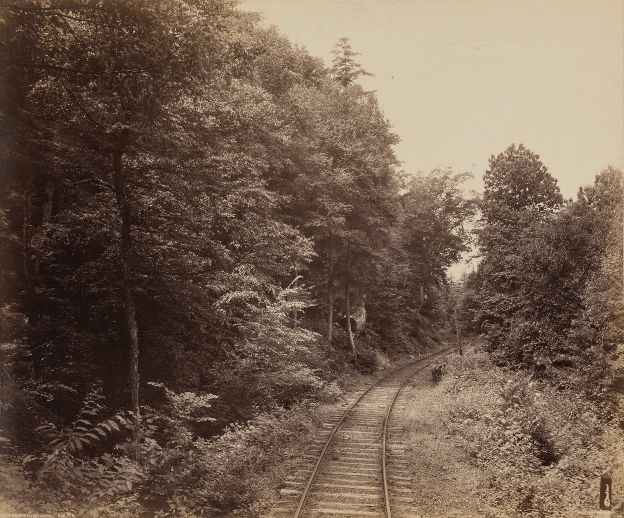 Musconetcong Glen autorstwa William H. Rau