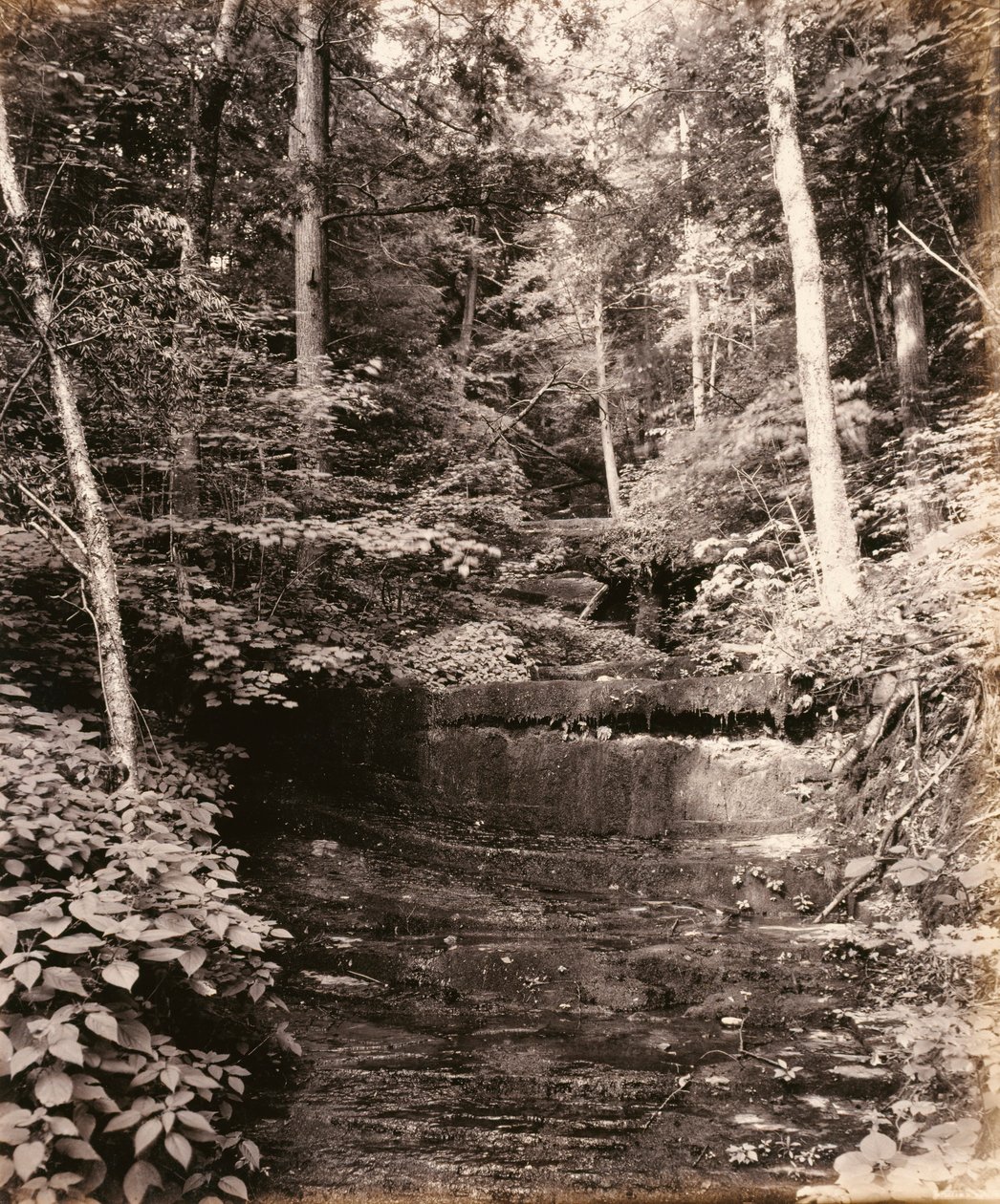 Jezioro Owasco, Cascade Glen, dla Lehigh Valley Railroad autorstwa William H. Rau