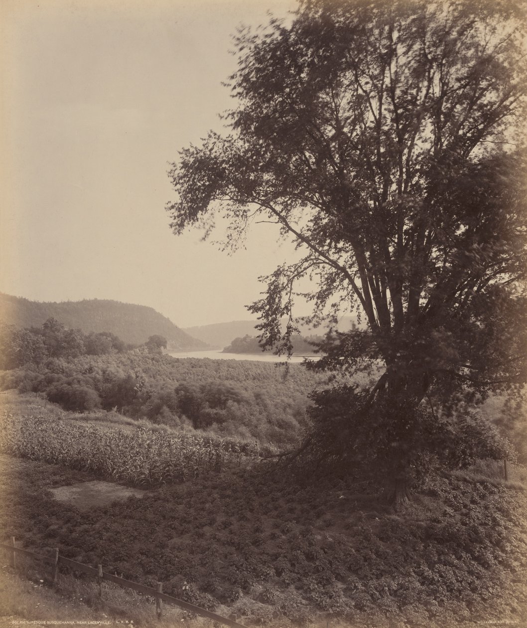 Malownicze Susquehanna, w pobliżu Laceyville autorstwa William H. Rau