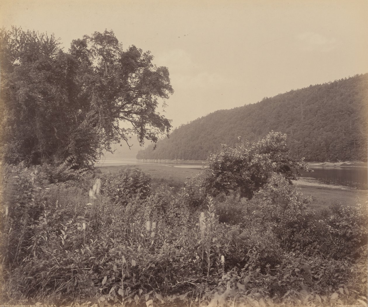 Susquehanna w Wyalusing autorstwa William H. Rau