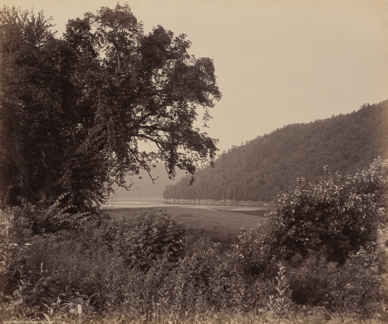 Susquehanna w pobliżu Wyalusing autorstwa William H. Rau