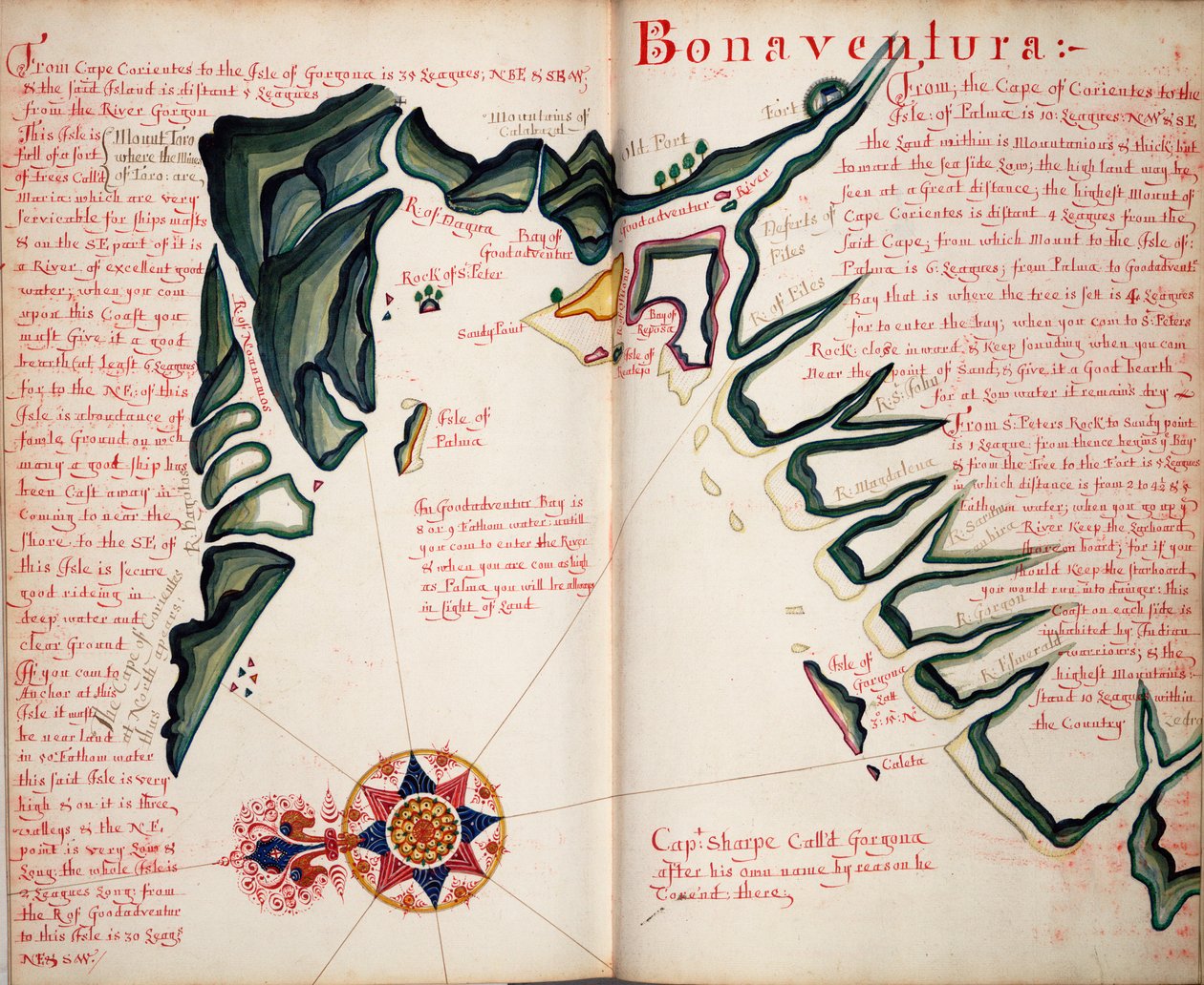Bonawentura autorstwa William Hack