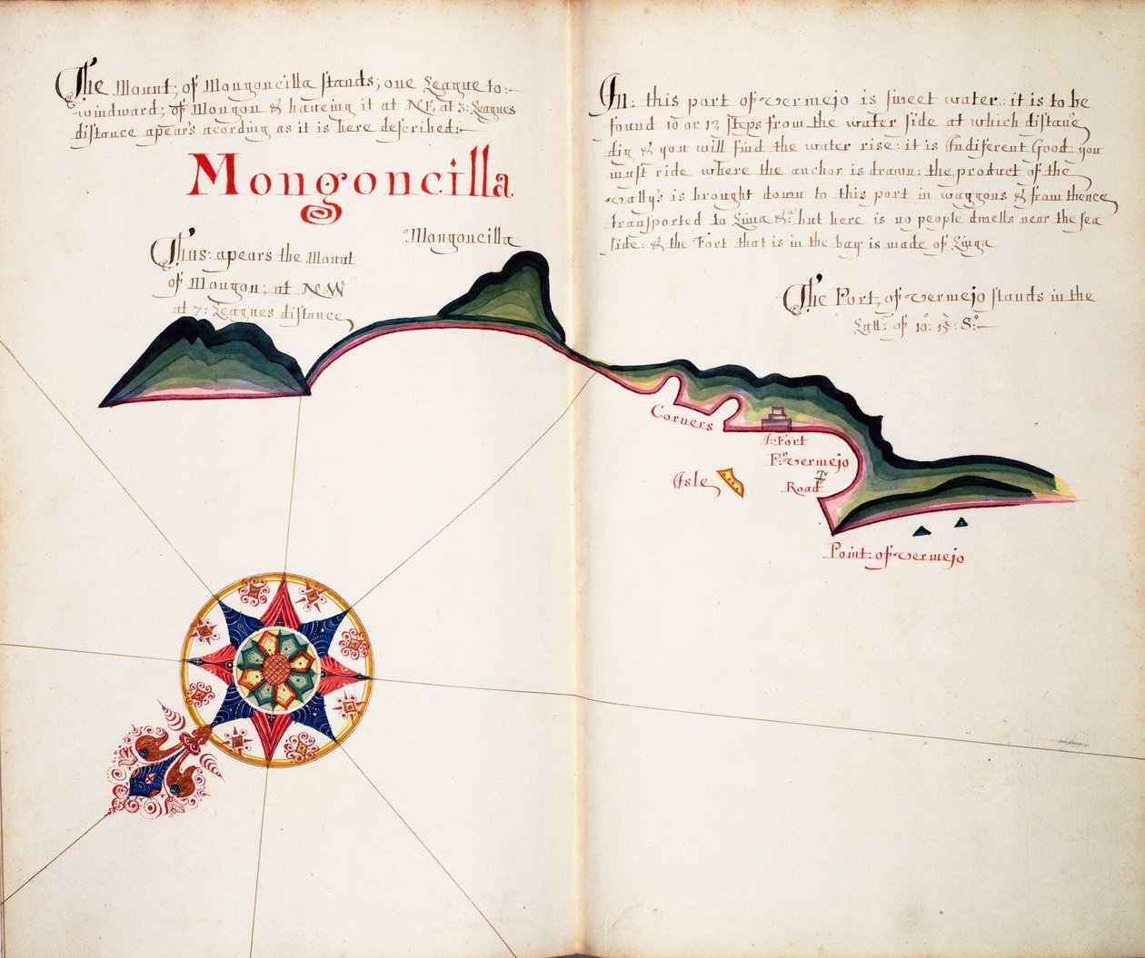 Mongoncilla autorstwa William Hack
