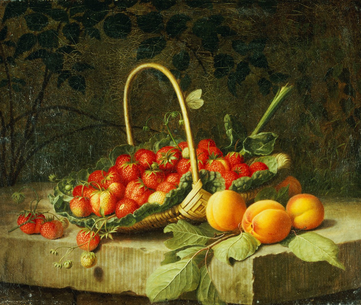 Kosz truskawek z brzoskwiniami na kamiennej półce, 1856 autorstwa William Hammer