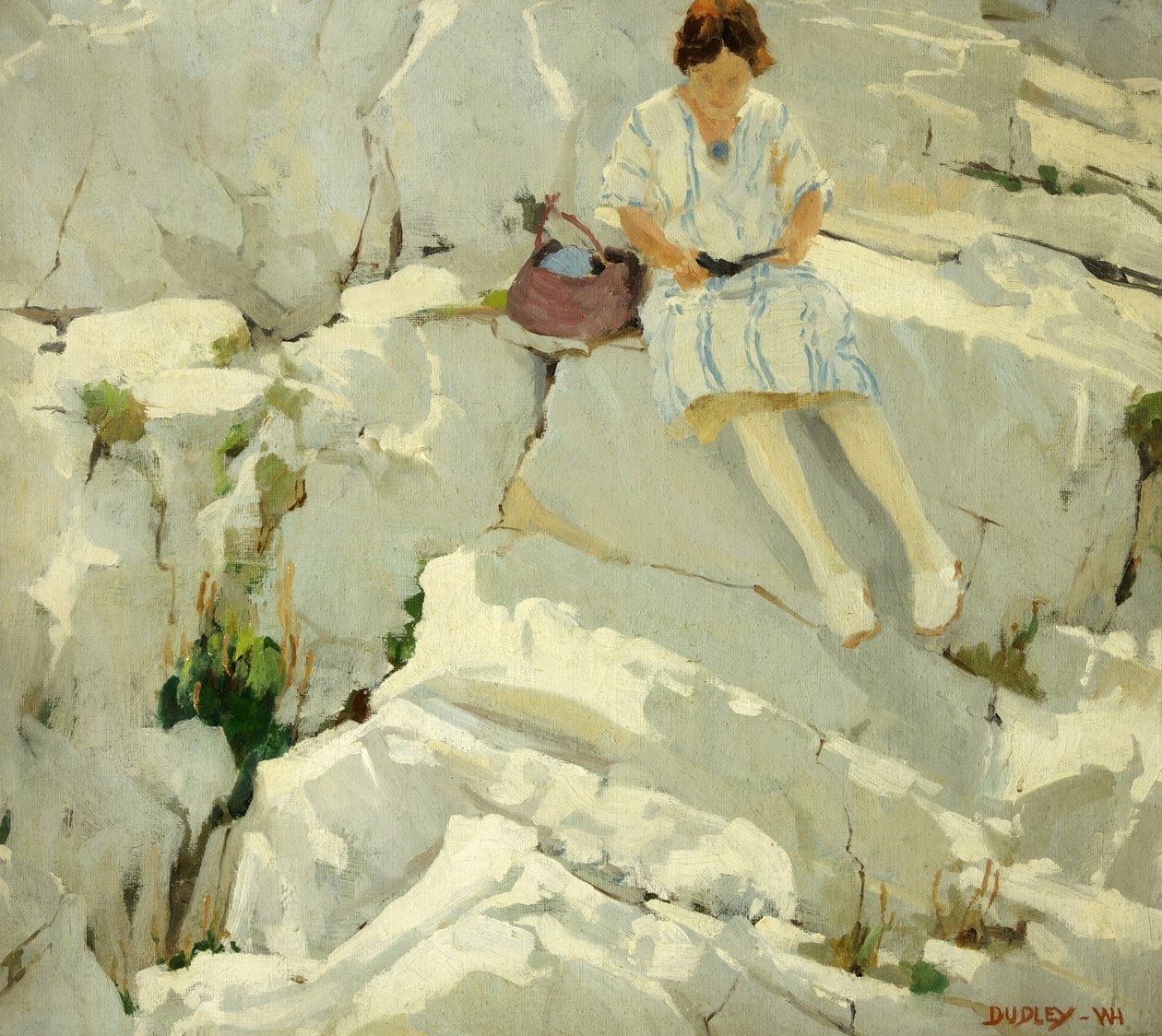 Motyl na skałach autorstwa William Harold Dudley