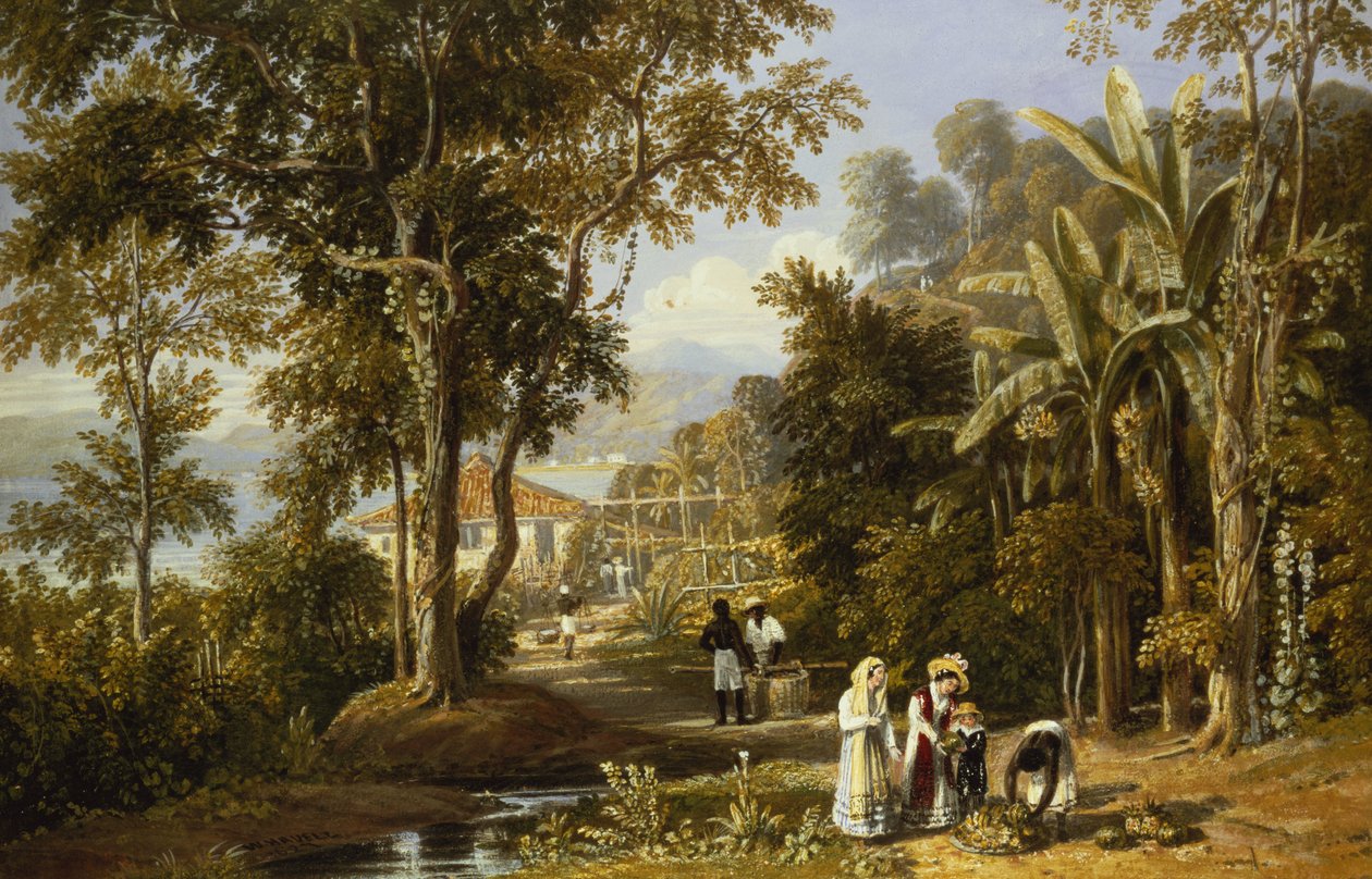 Scena ogrodowa na wybrzeżu Braganza, Rio de Janeiro, 1827 autorstwa William Havell