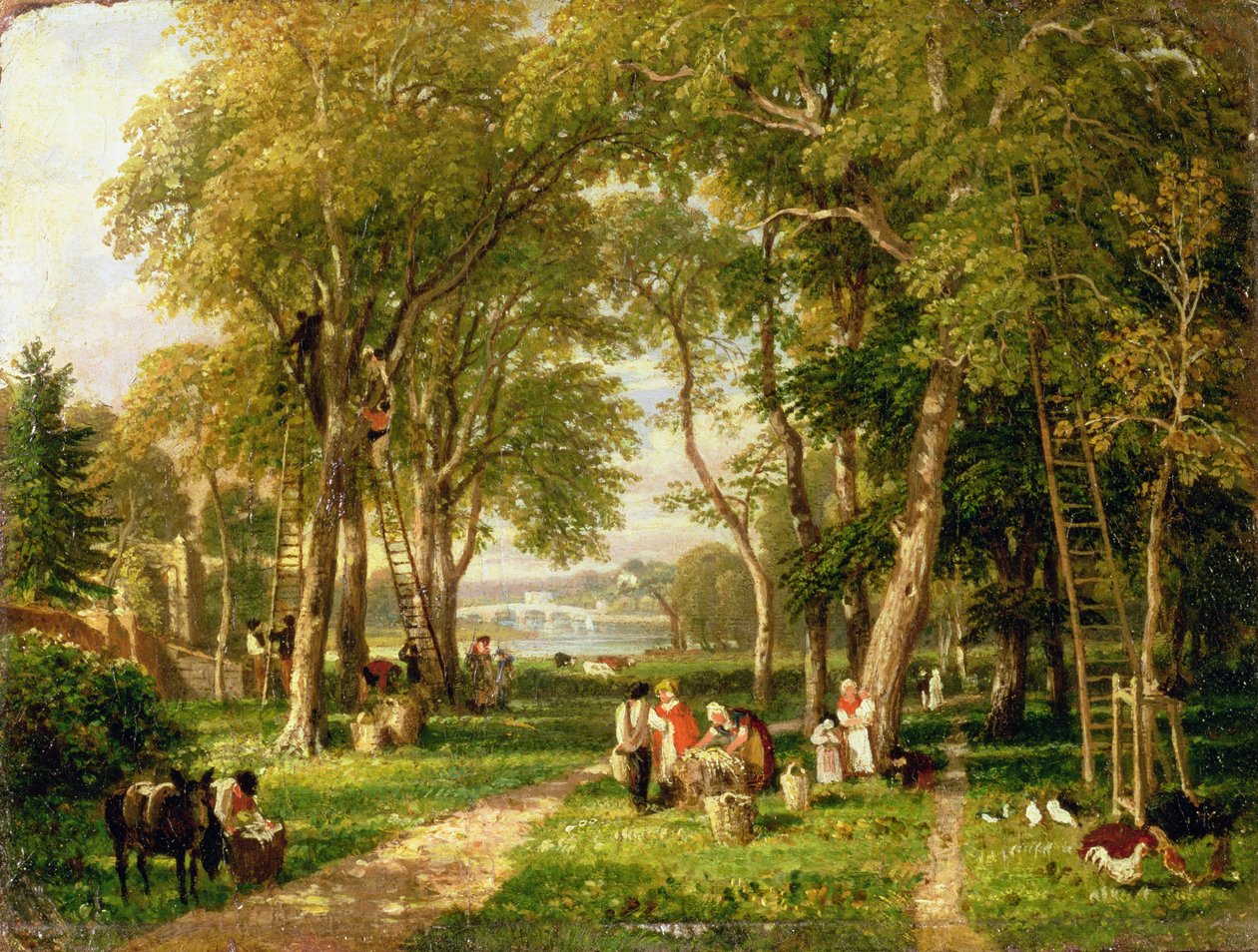 Zbiór orzechów włoskich w Petersham, w pobliżu mostu Richmond autorstwa William Havell
