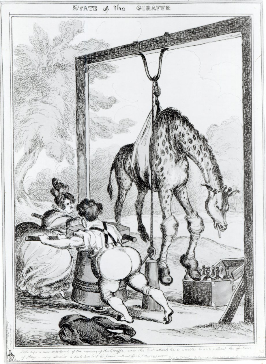Stan żyrafy, 1829 r. autorstwa William Heath