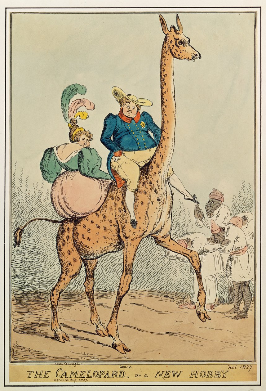 Camelopard, czyli nowe hobby, 1827 (kolor grawerowany) autorstwa William Heath