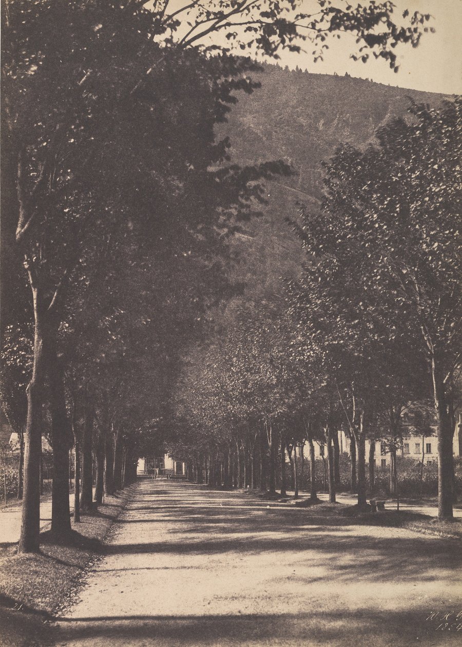 Aleja Drzew, Pau, 1854. autorstwa William Henri Gebhard