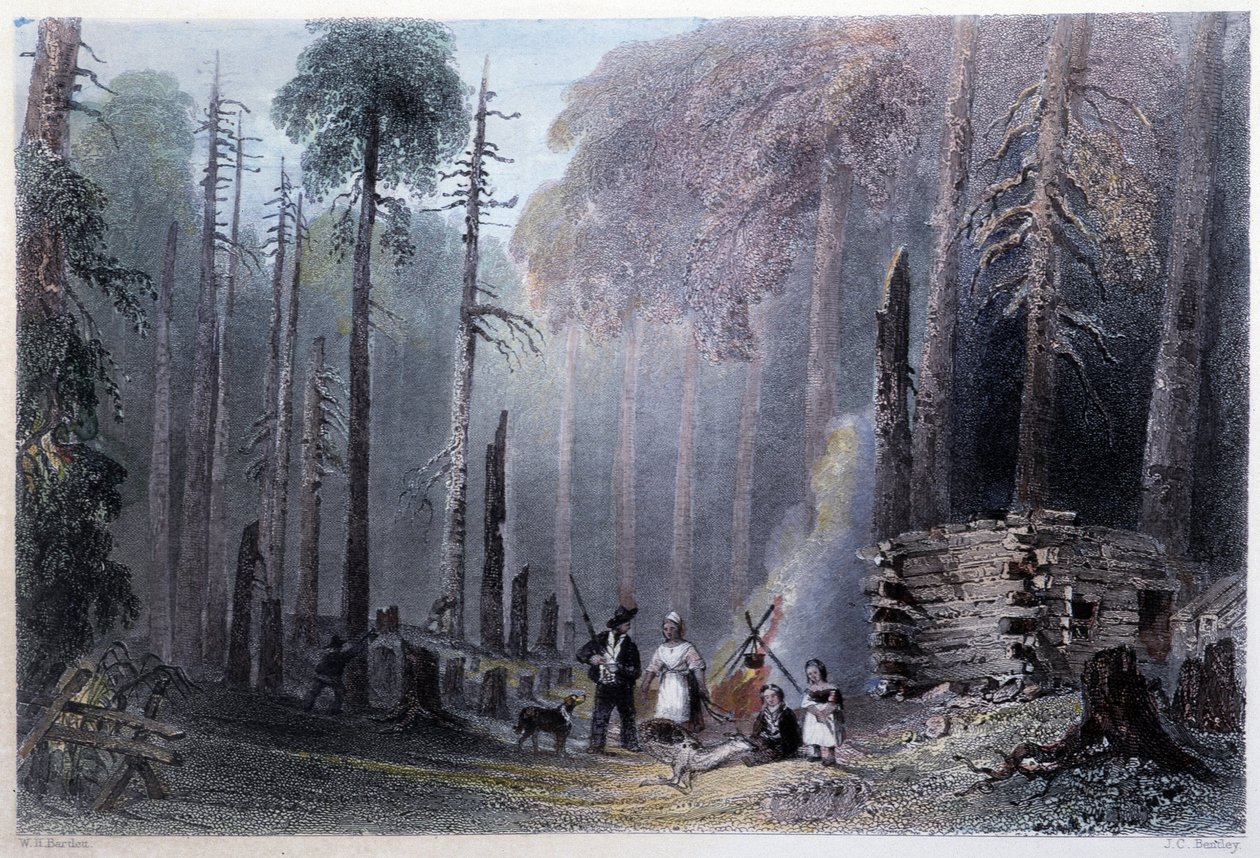 Pierwsza instalacja osadnika - w „kanadyjskiej scenerii ilustrowanej” przez W.H. Bartlett, Londyn autorstwa William Henry Bartlett