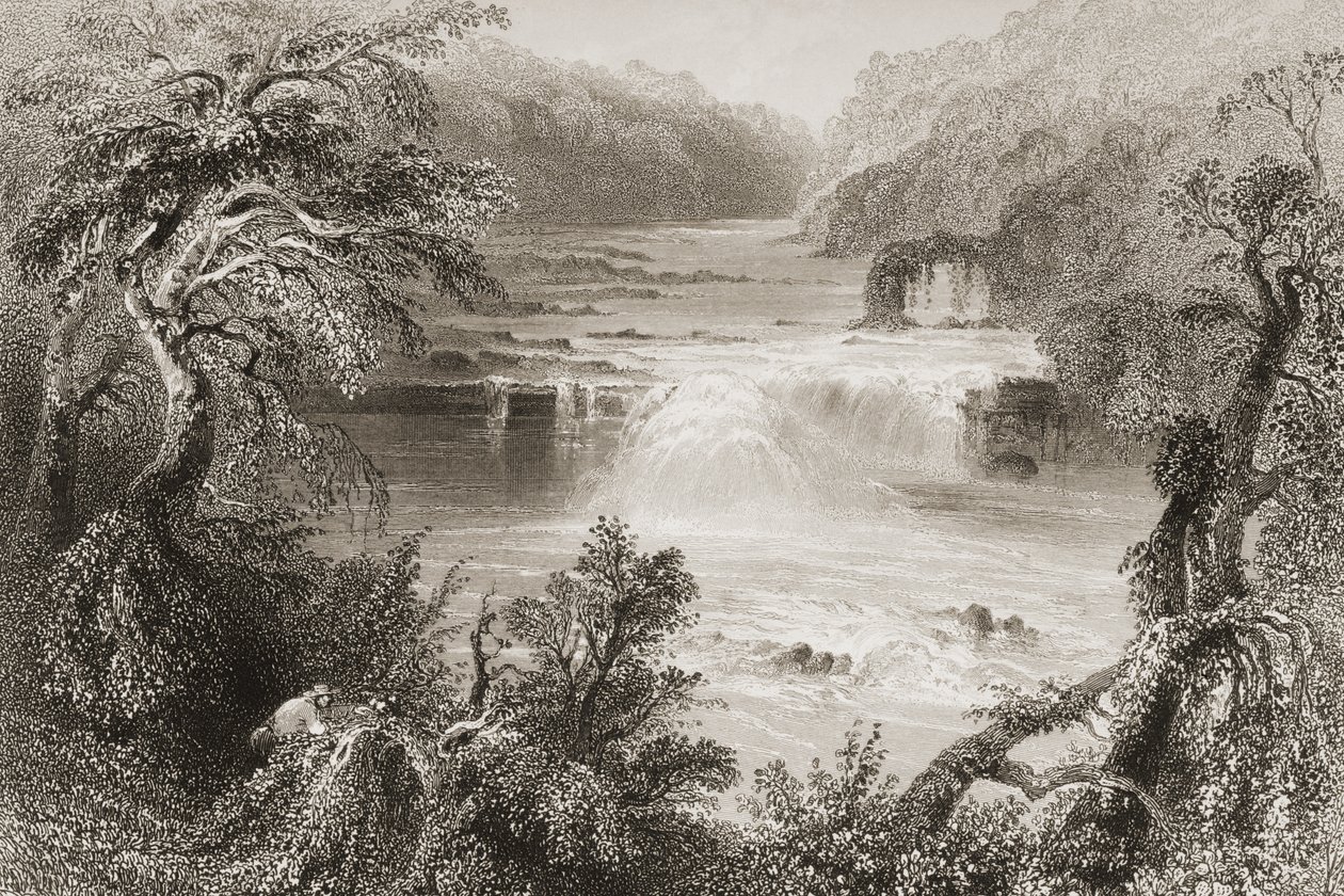 Salmon Leap at Leixlip, County Kildare, z "Scenery and Antiquities of Ireland" George