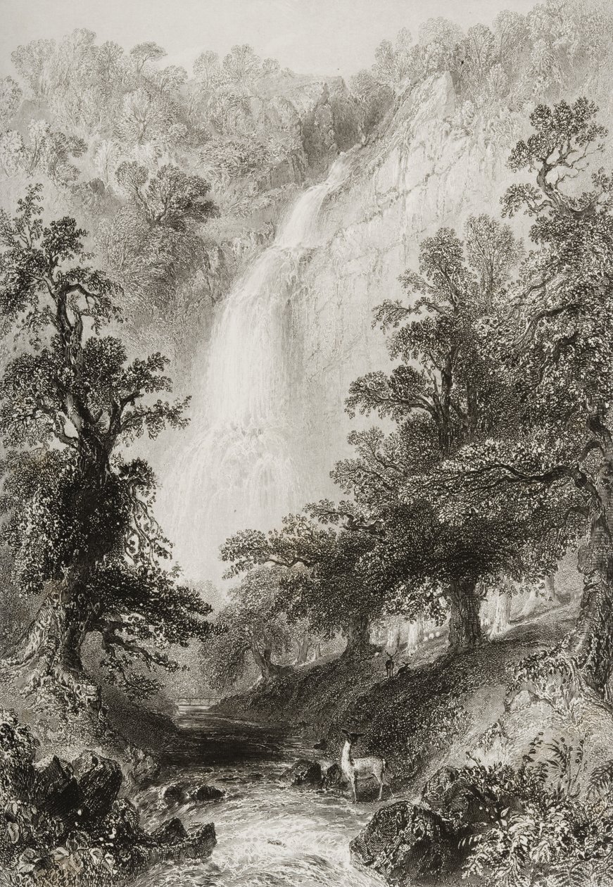 Wodospad, Powerscourt, hrabstwo Wicklow, Irlandia, z „Krajobrazy i starożytności Irlandii” George