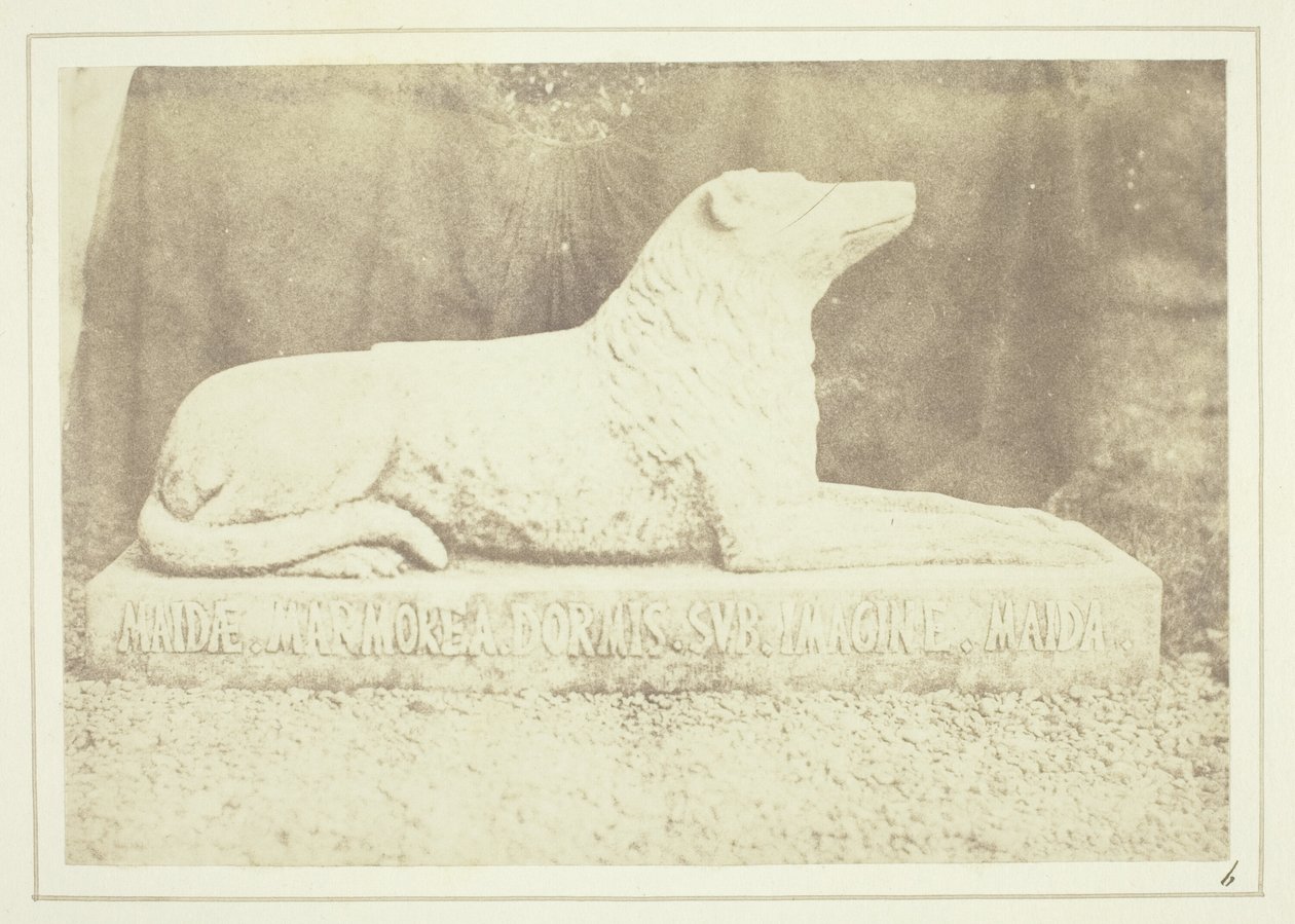 Podobizna ulubionego psa Sir W. Scotta, Maida, przy drzwiach holu w Abbotsford autorstwa William Henry Fox Talbot