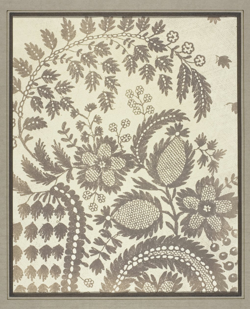 Koronka autorstwa William Henry Fox Talbot